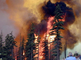 Лесной пожар стал причиной эвакуации людей со ст. Крупская