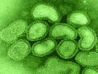 В России разработан тест для выявления гриппа H1N1
