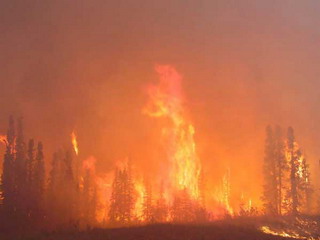 В пятницу лесные пожары могут охватить 9 регионов Сибири