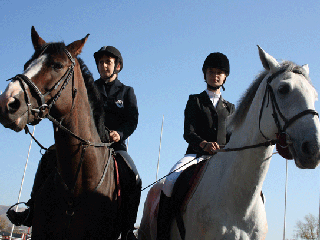 В Хакасии стартует турнир по конному спорту 