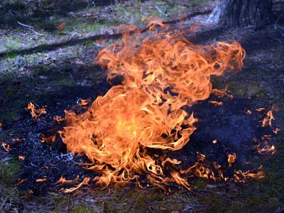  В Хакасии снова началась волна лесных пожаров