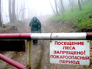 В лесах Хакасии ввели особый противопожарный режим