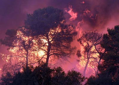 В Хакасии велика вероятность возгорания лесов