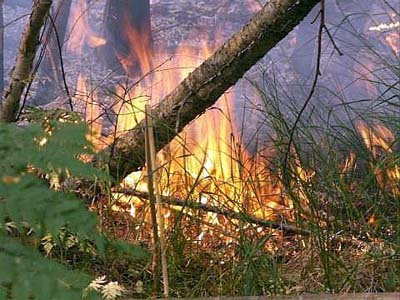 На севере Хакасии горит лес