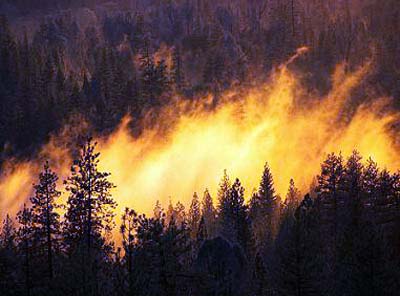 В Хакасии опять горят леса Бирикчульского,  Саралинского и Усть - Бюрского лесничеств