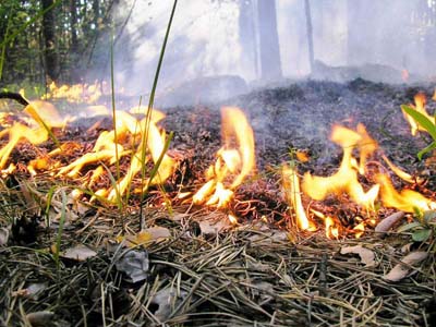 Государскомлес Хакасии проводит районные совещания по профилактике и борьбе с лесными пожарами