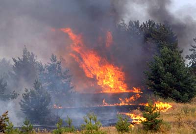 В выходные в Хакасии снова горели леса