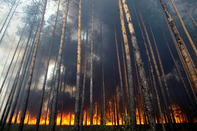 В Хакасии за выходные произошло три лесных пожара