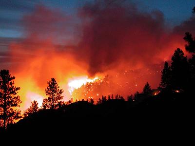 Лесной пожар в Хакасии потушен за ночь