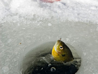 Безопасная рыбалка возможна только на севере Хакасии - МЧС