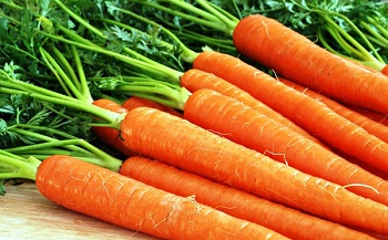 В Приморье килограмм моркови покупают за 2,5 тысячи рублей