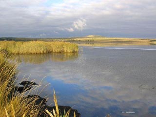  Озеро Тагарское объявлено карантинной зоной