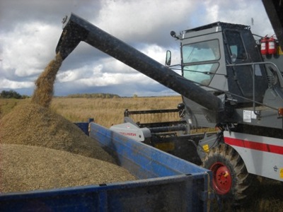 Урожай Хакасии 2013: хозяйства готовы помочь северным районам республики