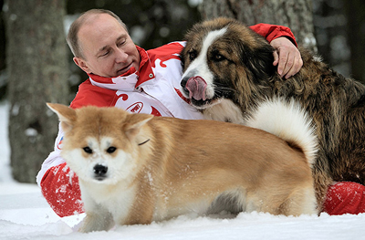 Фотосессия Президента Путина со своими собаками вызвала ажиотаж в сети
