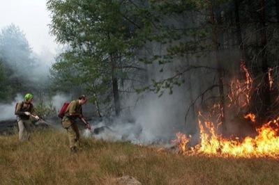 Виктор Зимин утвердил  сводный план тушения лесных пожаров на территории Хакасии