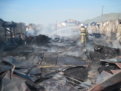 Во время пожара на конюшне заводчика Миндибекова погибли 19 лошадей