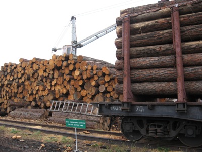 Экспорт леса из Хакасии уменьшился на 17 % с начала года