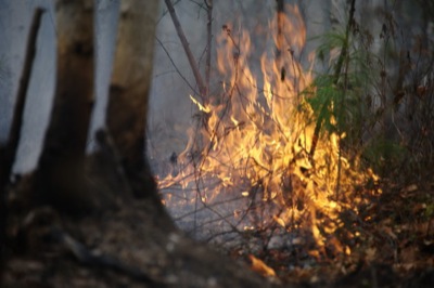 В выходные в Хакасии произошло 8 лесных пожаров