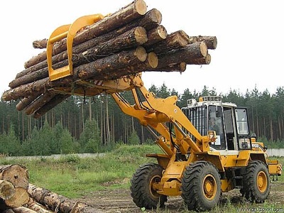 Арендаторы лесов Хакасии могут лишиться лицензий на лесозаготовку за долги