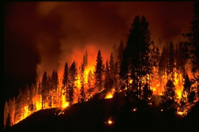 Пожар на территории Таштыпского лесничества ликвидирован