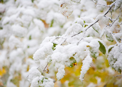 Похолодание в Хакасии: синоптики ожидают снег