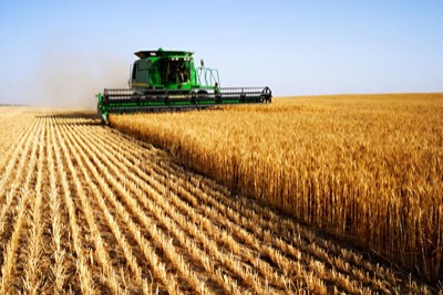 Аграрии Хакасии обсудили перспективы земледелия