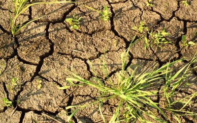 В Хакасии начала работу научная конференция по изучению засушливых земель