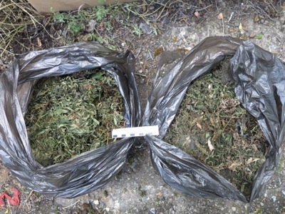в Хакасии у 18-летнего жителя Черногорска изъято 6 кг марихуаны