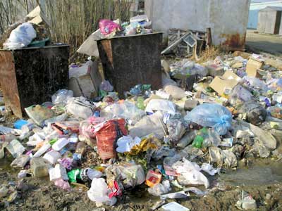 Абаканских коммунальщиков оштрафовали за мусор