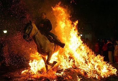 В Хакасии пожар уничтожил поголовье элитных лошадей