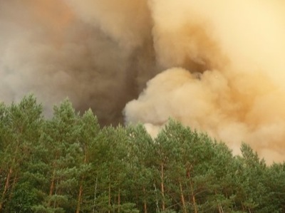 Пожароопасный сезон для лесов Хакасии официально закрыт