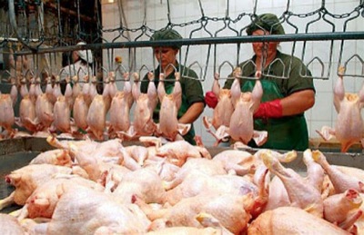 ЕС разрешил экспорт из России мяса птицы 