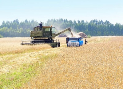 Уборка зерновых в Хакасии приближается к "экватору"