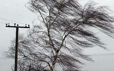 После ураганного ветра в Абакане все системы связи «Ростелекома» работают в штатном режиме