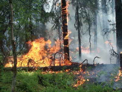 В минувшие выходные в Хакасии снова горел лес
