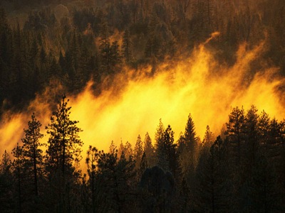 В Хакасии потушен первый в текущем году лесной пожар 