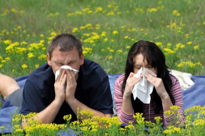 Сильный ветер обострил аллергию у страдающих поллинозом в Хакасии