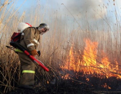 В Боградском районе Хакасии оперативно потушен лесной пожар