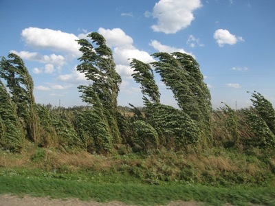 В Хакасии ожидается усиление ветра