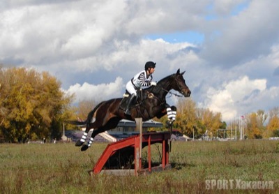 В Абакане разыграли Кубок федерации конного спорта Республики Хакасия