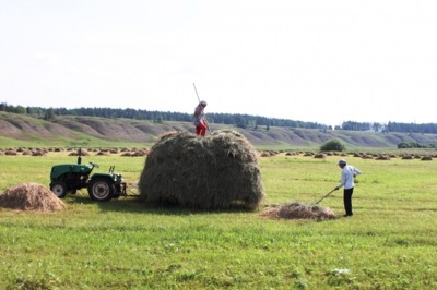 Более 60 начинающих фермеров Хакасии заявились на гранты