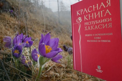 Красную книгу Хакасии обновили