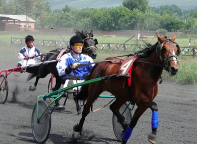 В Хакасии обсудили перспективы развития спортивного коневодства