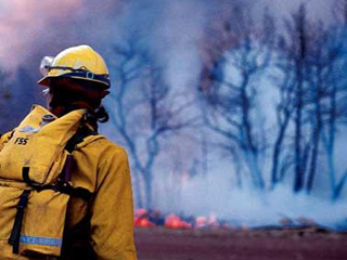 Все лесные пожары в Хакасии ликвидированы