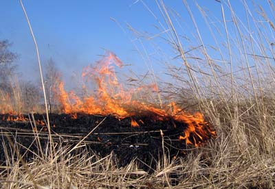 В Хакасии начались первые степные пожары