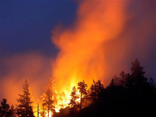 Отслеживать лесные пожары в Хакасии будут со спутника