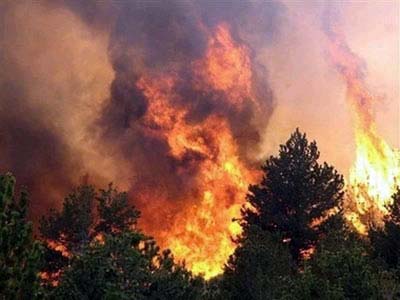 В Тыве при тушении лесного пожара погибли 8 десантников