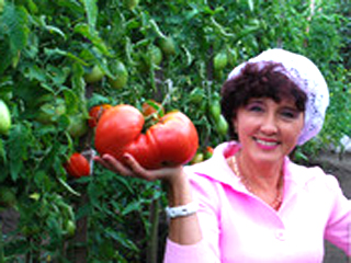 Самый большой помидор принес огороднице ключи от "Лады"