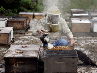 Пчеловодам Хакасии необходима поддержка государства