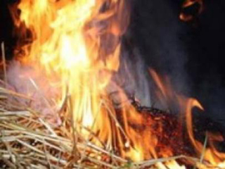 Житель Хакасии сжег сено на 120 тыс. рублей